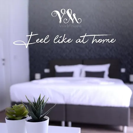 Vilamihaela Hotel 3*